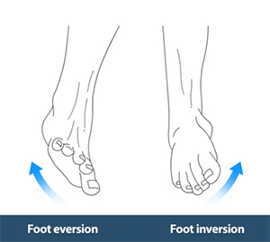 Foot Eversion 